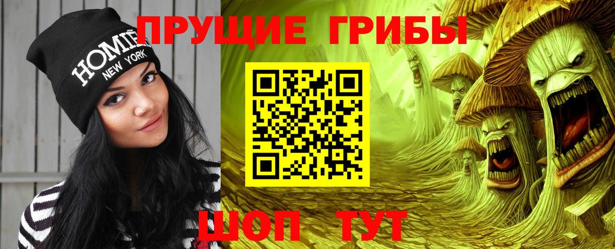 Галлюциногенные грибы Magic Shrooms  где можно купить   Новотроицк  Вход с VPN 